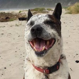 Meet your Posher, Tarynn